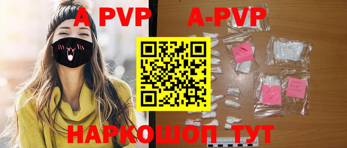 A PVP СК Новодвинск