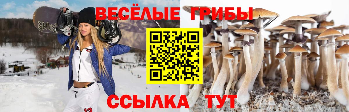 Галлюциногенные грибы Psilocybine cubensis  Вход с VPN  Новодвинск 