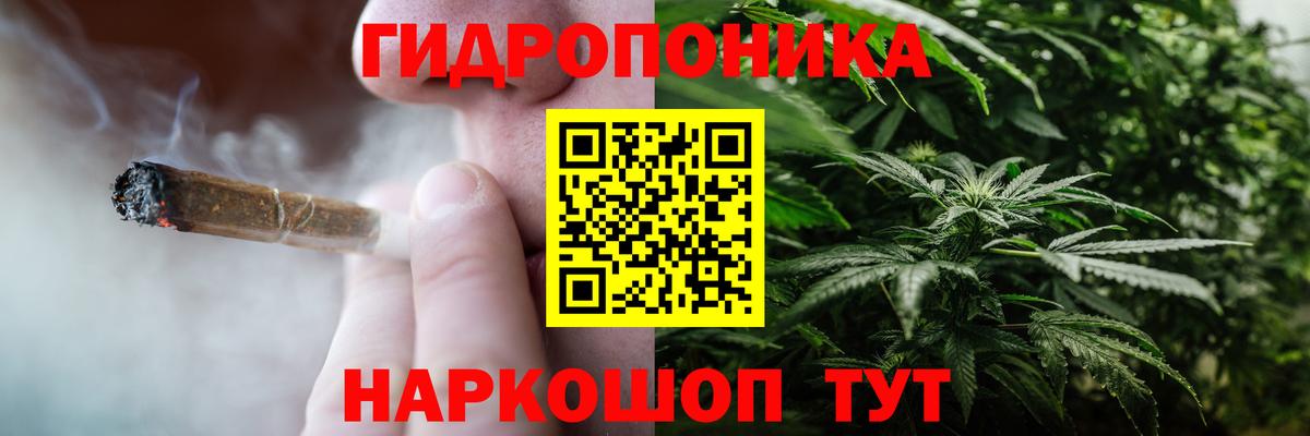 Шишки марихуана THC 21% Новодвинск